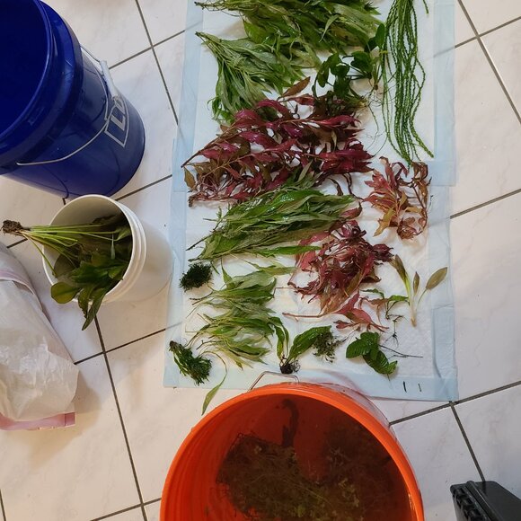 Meet your Posher, Tamara - Picture 4 of 8